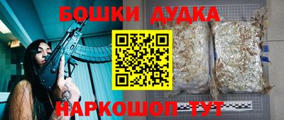 МДПВ Жуковский