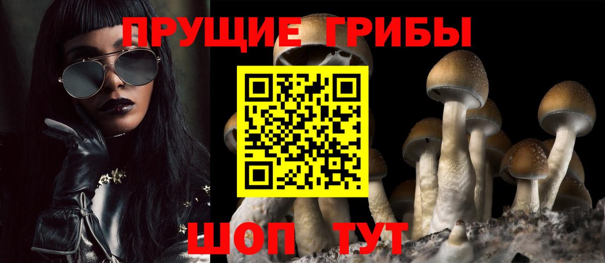 Галлюциногенные грибы Cubensis  Вход с VPN  Кушва 